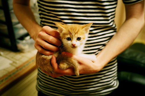 _体育旅游热启动:游览名胜地同时享运动乐趣_,体育旅游十佳精品景区