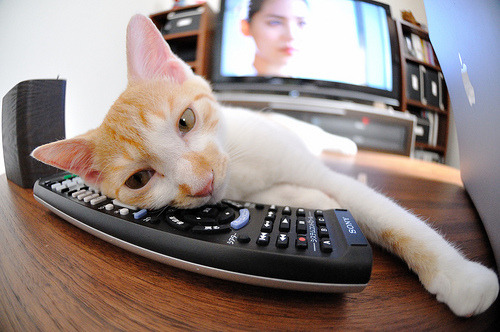 《【未来科技】虚拟现实将如何改变电竞体验?专家深入分析》,未来虚拟现实科技是什么样的