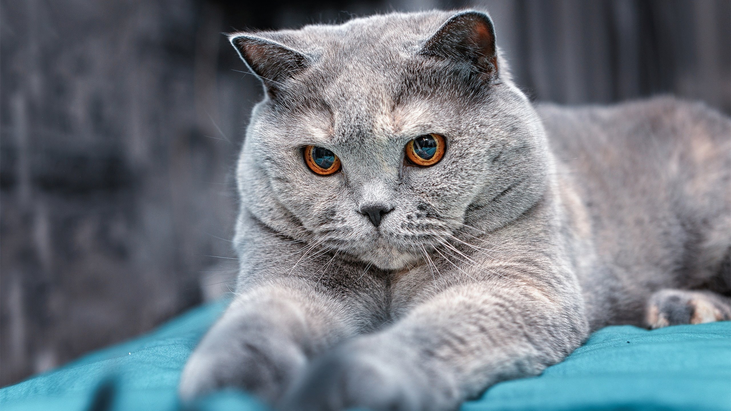 全国青少年“绿色运动”公益活动在福州全面展开，践行绿色理念