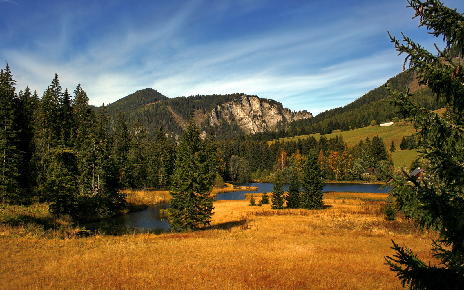 失误要命!上海队整场失误达20次,败局提前揭晓!,上海队夺冠
