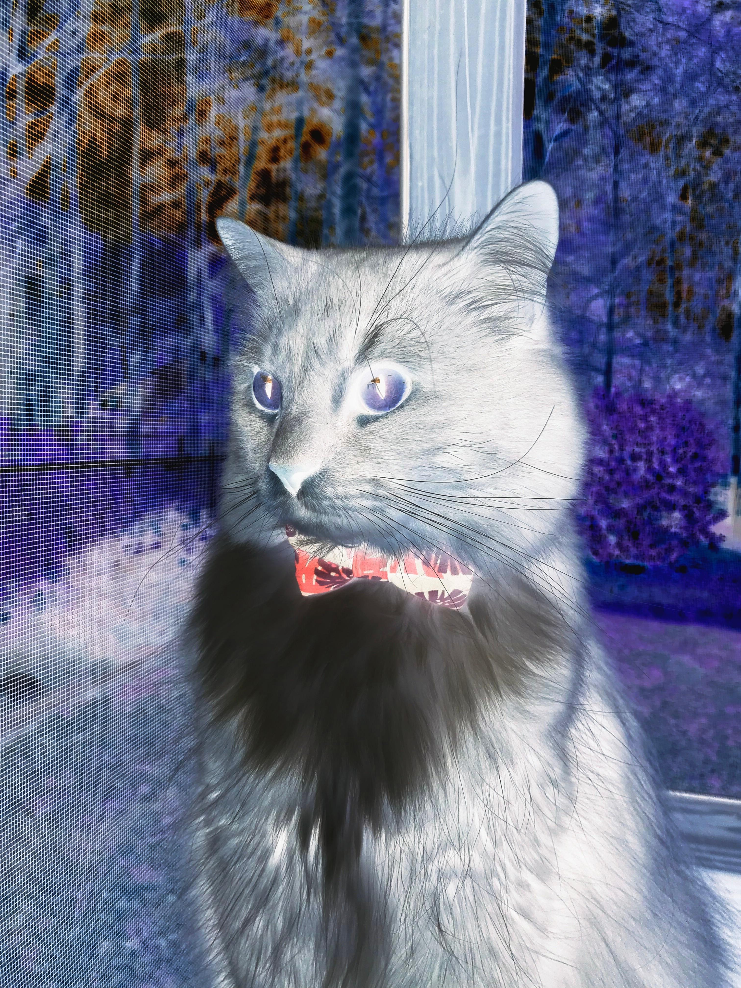 汉诺威队员关键进球助力，迎来宝贵胜利，汉诺威结