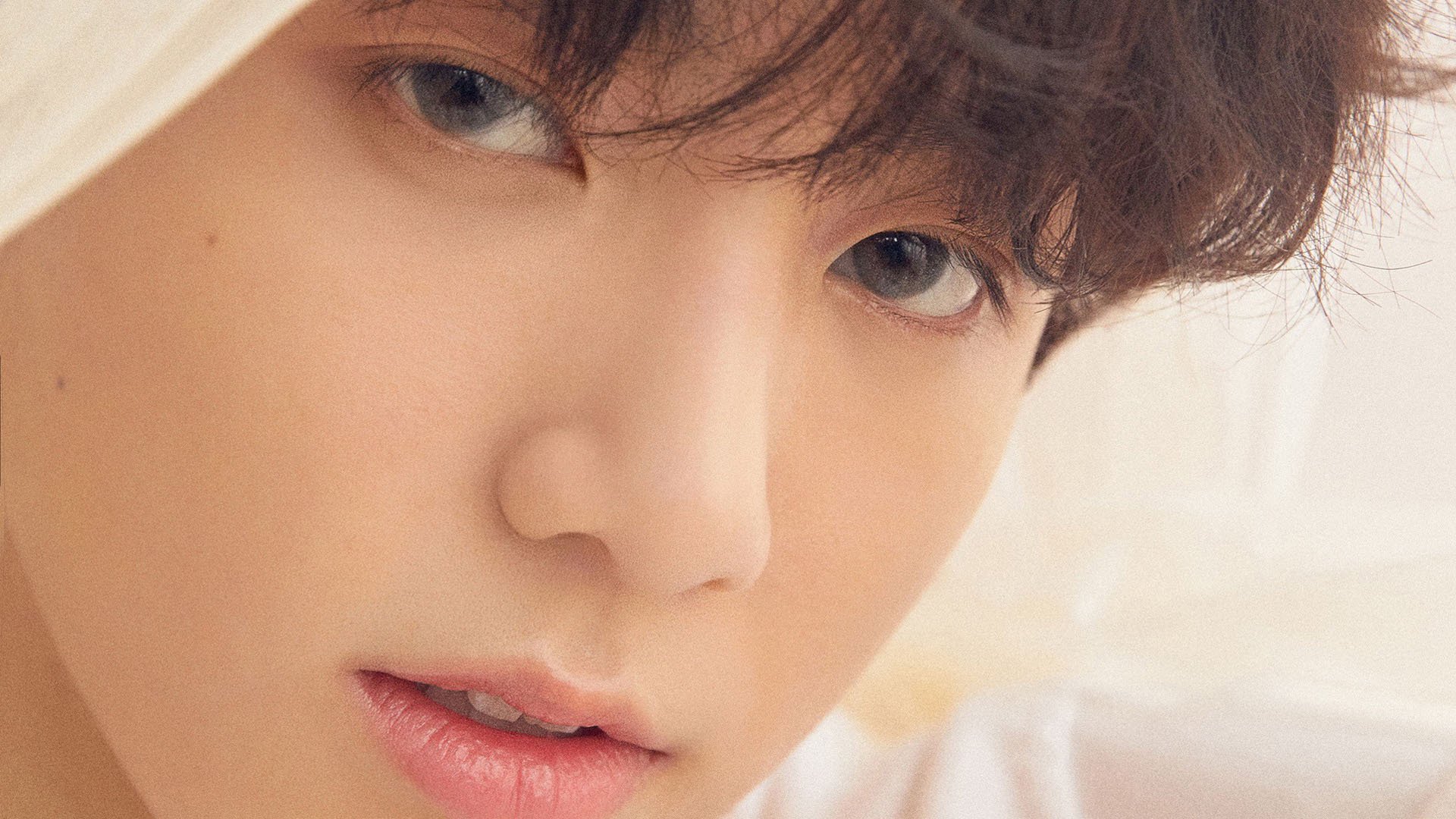 青少年足球教育普及大计划正式启动,青少年足球普及知识