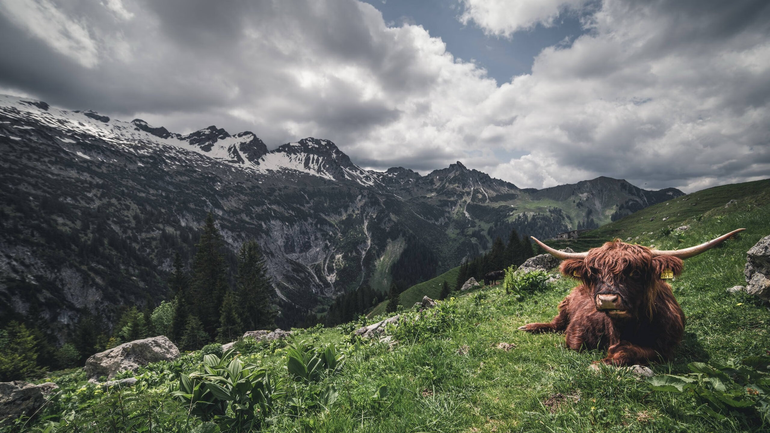 开云平台-中国围棋协会发布围棋职业棋手培养计划，中国业余围棋升职业