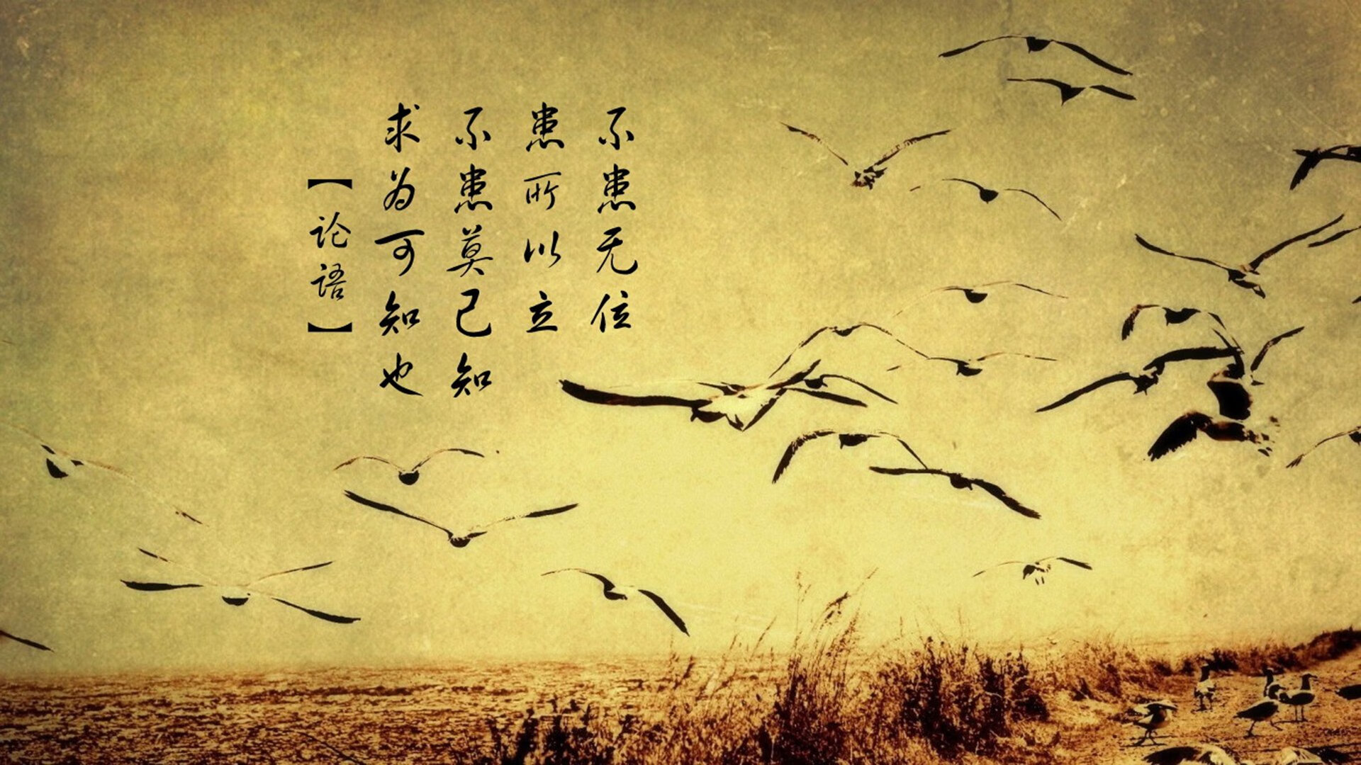 开云网页版-克罗地亚国家队备战意气风发，欧锦赛焦点，克罗地亚欧洲杯预选赛比分