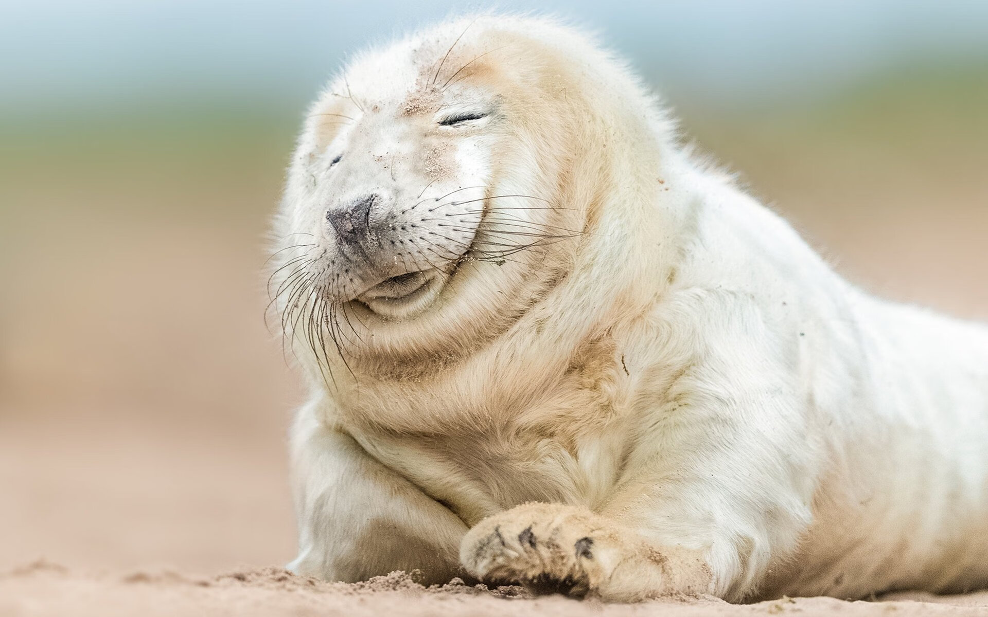 KAIYUNAPP-切尔西女足比赛数据统计分析，切尔西女足什么水平