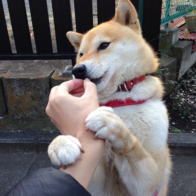 塞维利亚主场擒胜，取得宝贵三分，塞维利亚比赛直播