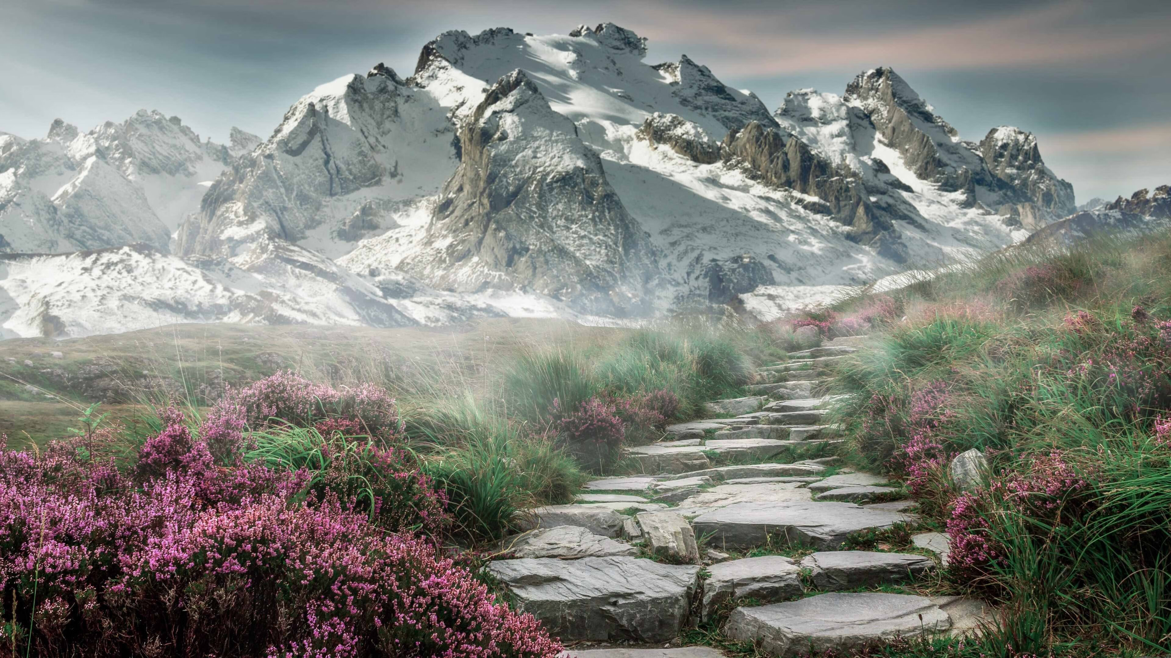 尼克斯力克雷霆,东部决赛中布伦森砍下47分,尼克 布里科斯