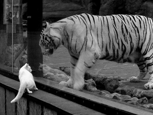 kaiyun开云·官方网站-巴萨门将神勇表现，助球队取得重要胜利，巴萨门将排名