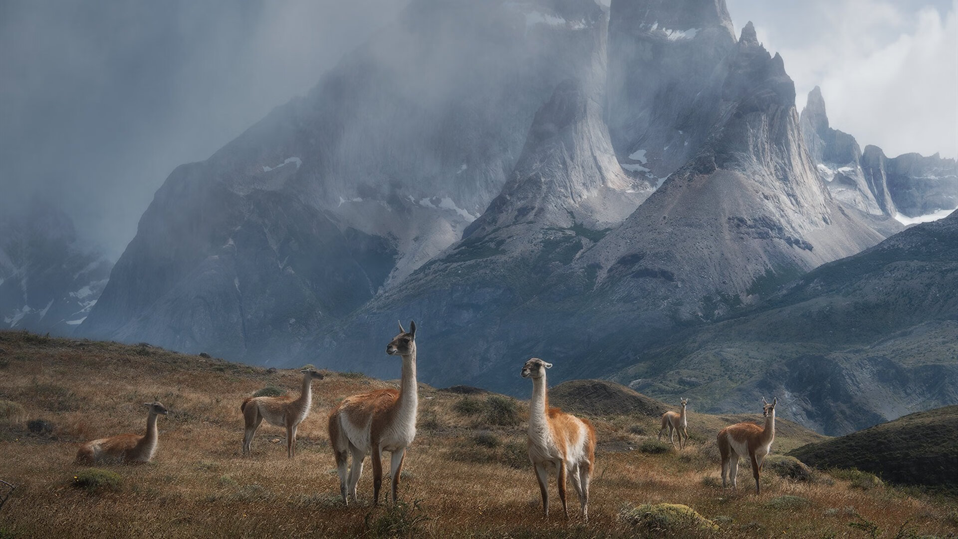 拜仁击败对手,顺利晋级欧冠决赛,拜仁欧冠决赛阵容2020首发