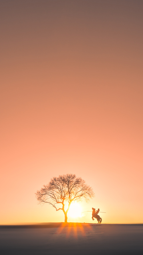 阿森纳在欧联杯中晋级四强,备战决赛,阿森纳欧冠