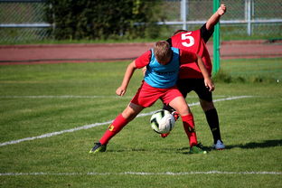 kaiyun登录入口-体育赛事志愿者管理及培训体系建设，体育赛事志愿者的工作要求