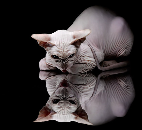 CBA联盟加强与国际联赛的深度合作,cba与国际篮球区别