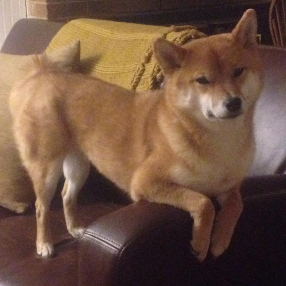 “电动冲浪:东三叉湖赛场引领水上运动新潮流”