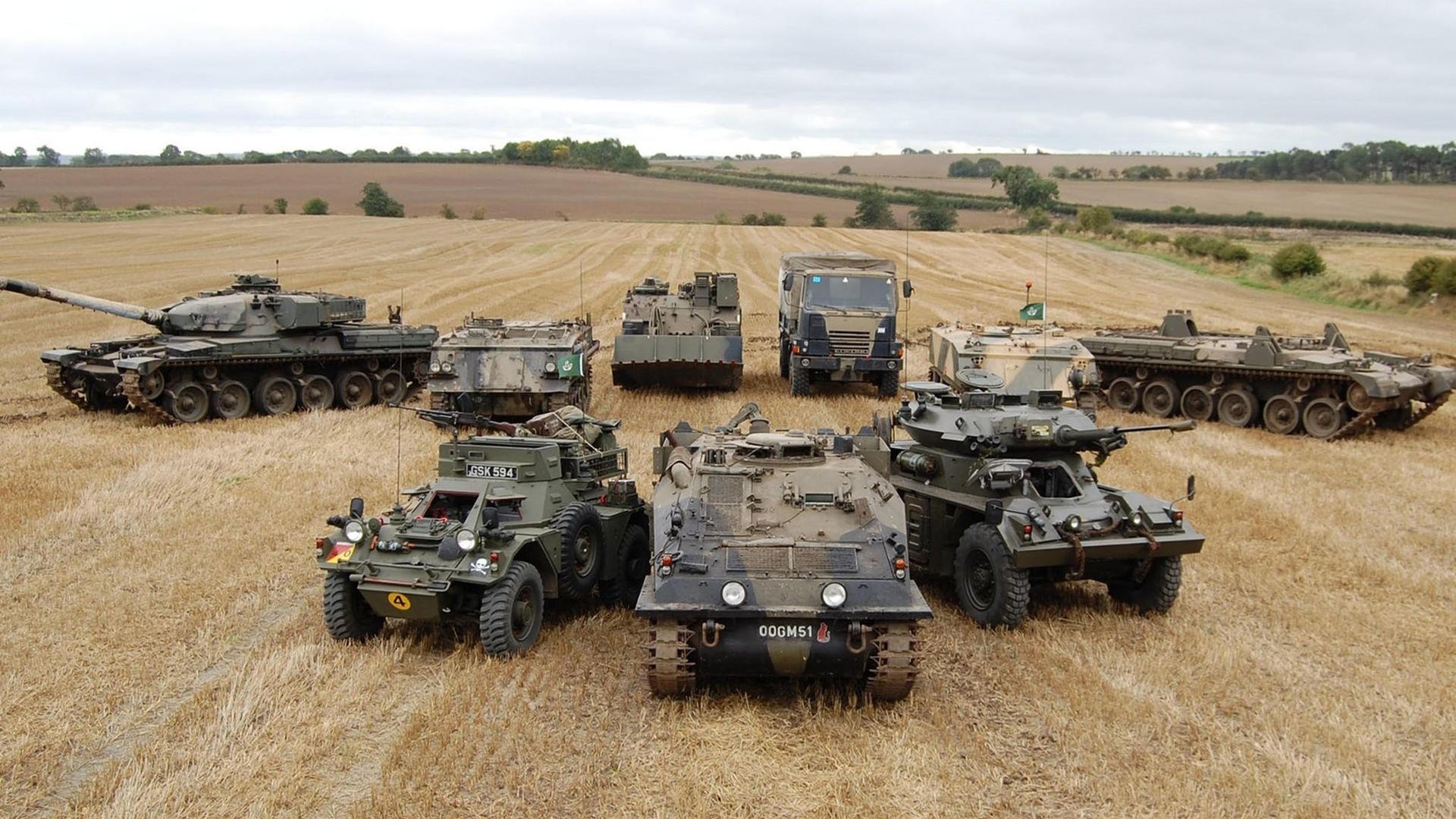 开云官方网页登录-女子蝶泳配速控制新趋势，女士蝶泳