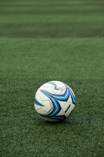 开云入口-校园足球联赛启动基层青训营选拔工作展开，2020足球青训选拔