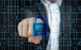 kaiyun体育app-马术运动进校园课程体系初步建立，马术走进校园合作方案