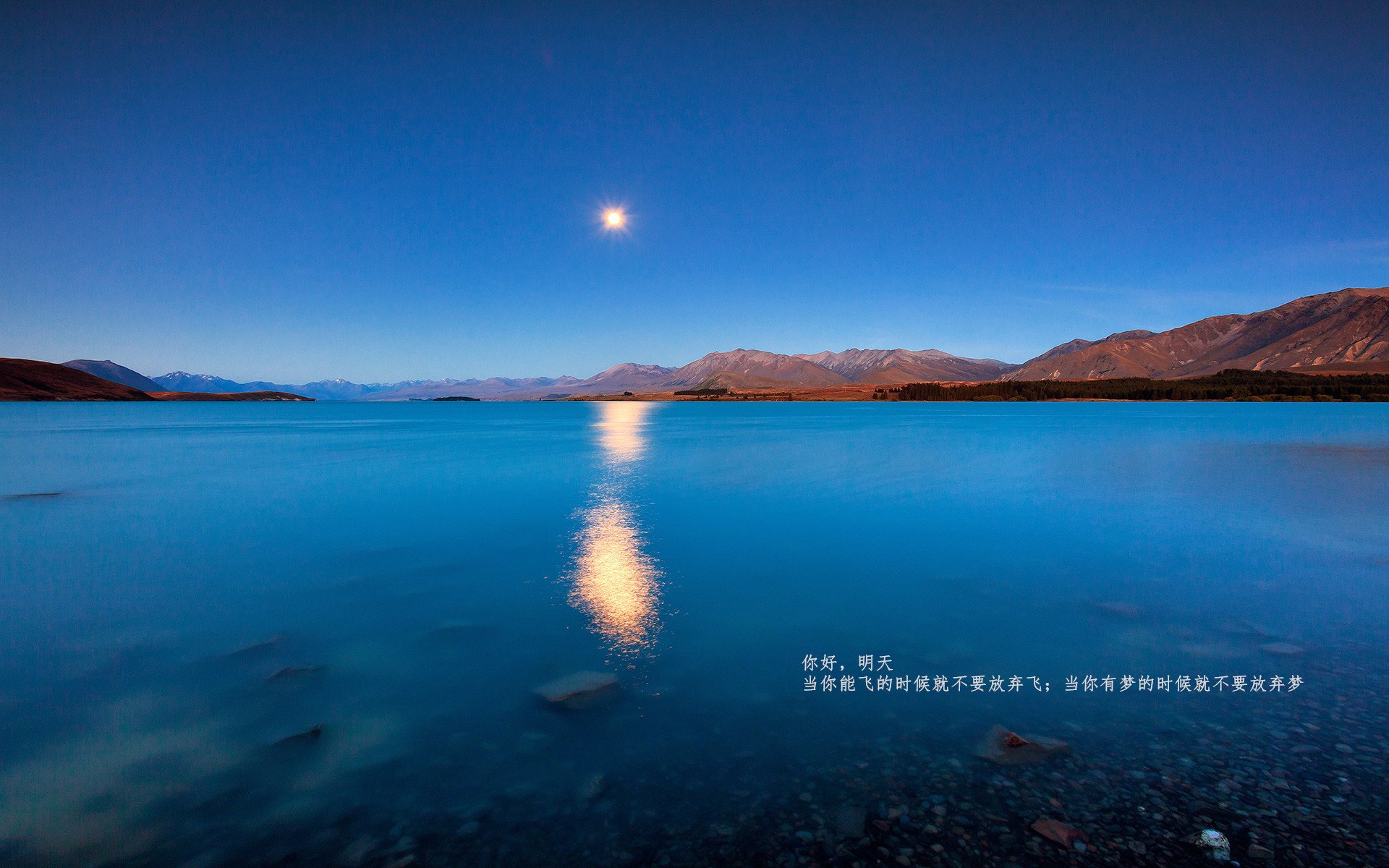 马术运动进校园课程体系初步建立,马术走进校园合作方案