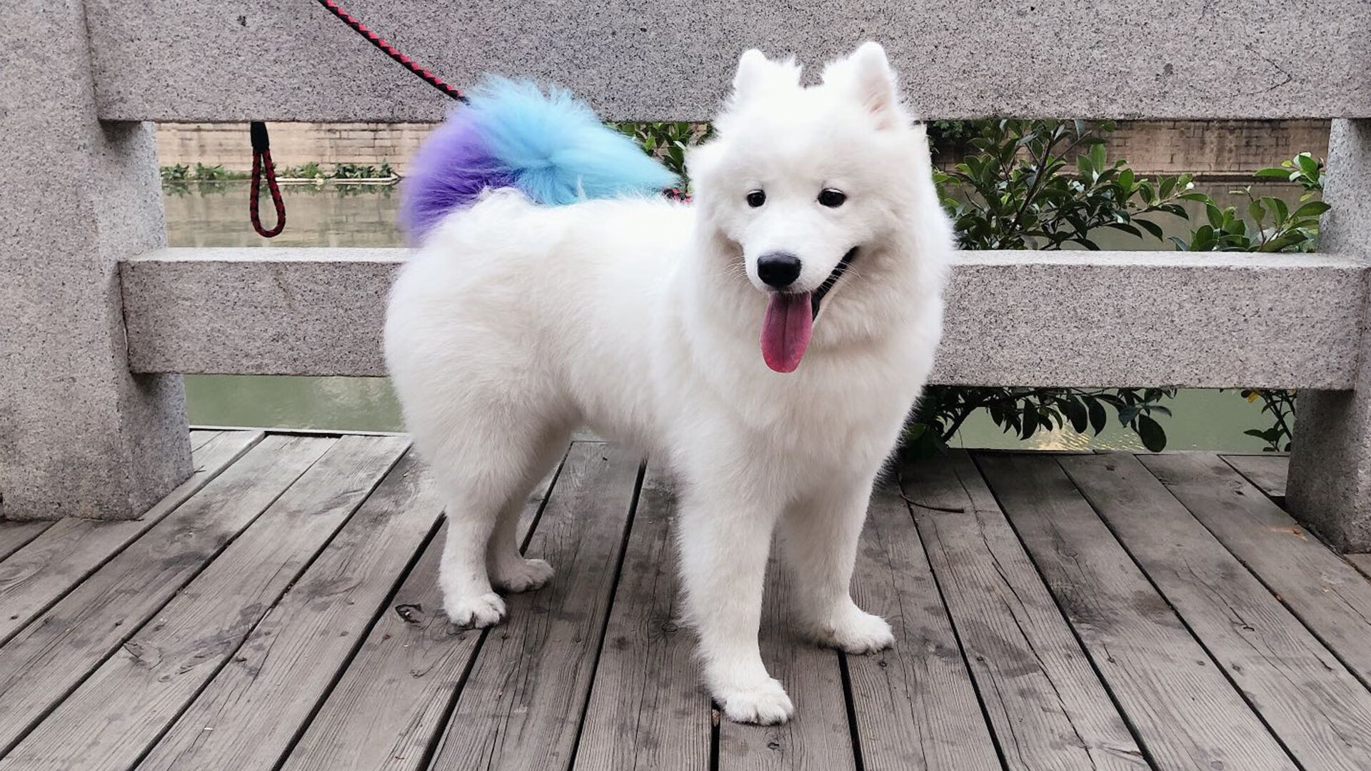 C罗连续第十场完成破门壮举，c罗连续第十场完成破门壮举的比赛