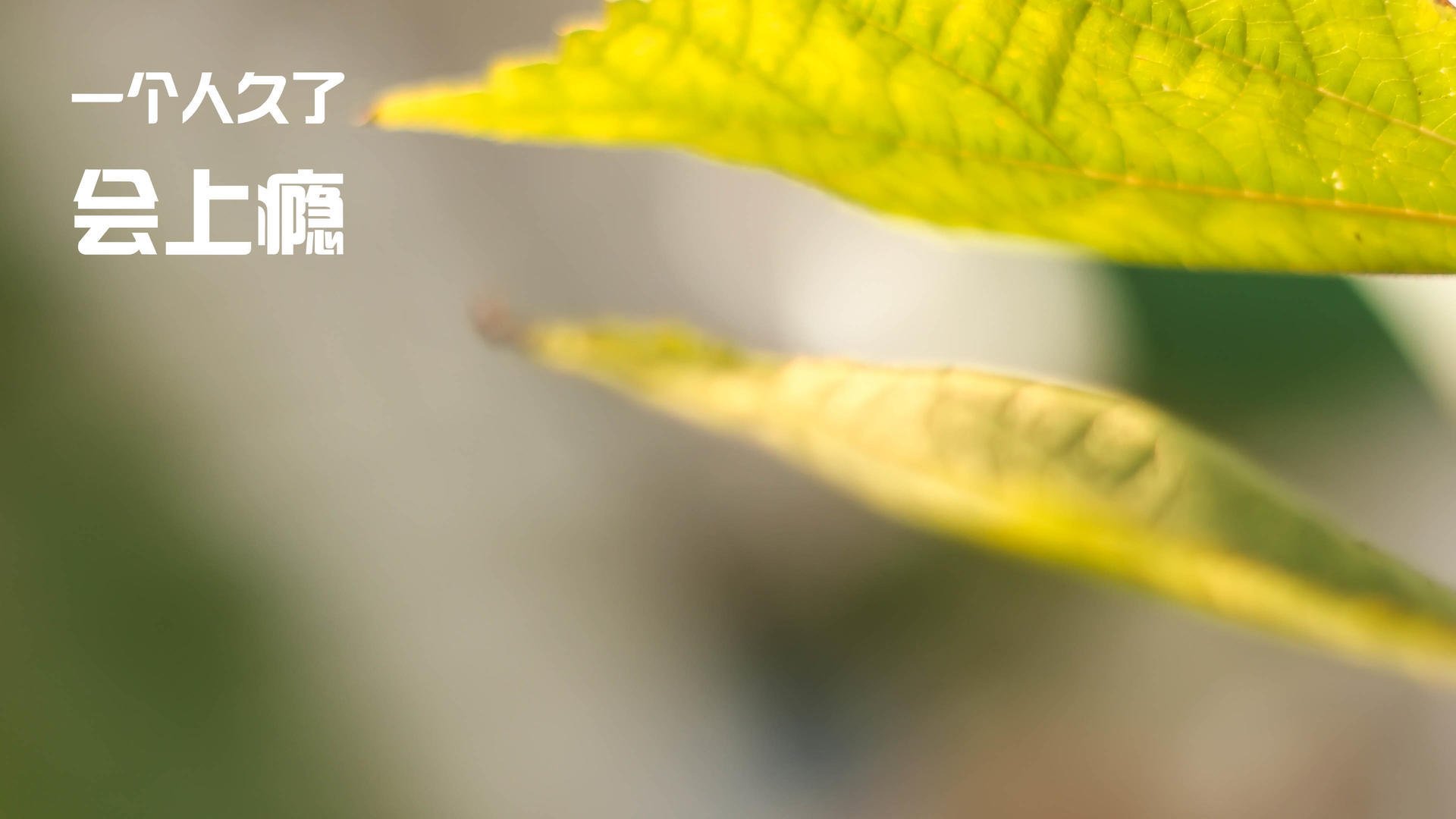 后程冲刺爆发力明显增强，后程怎么练