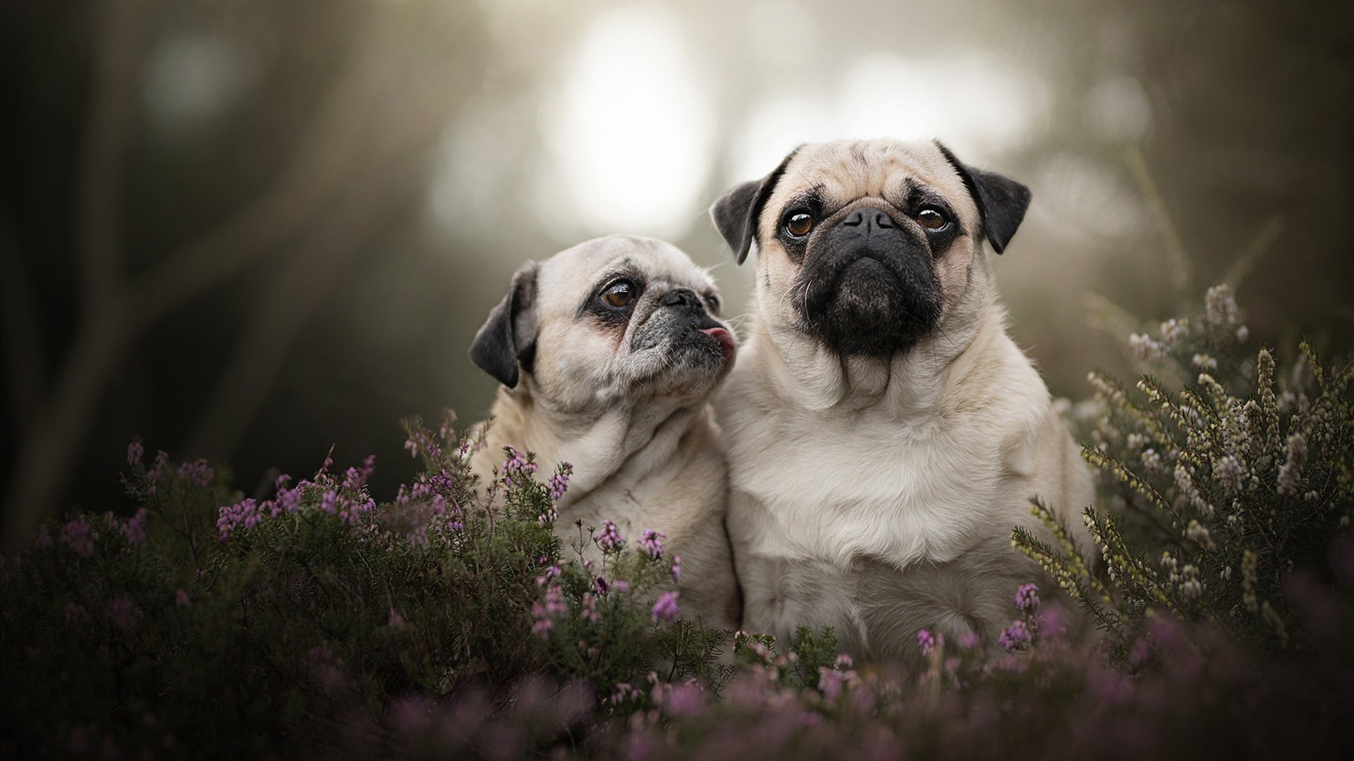 开云中国大陆-曹缘技术动作流畅备受好评，曹缘接受采访