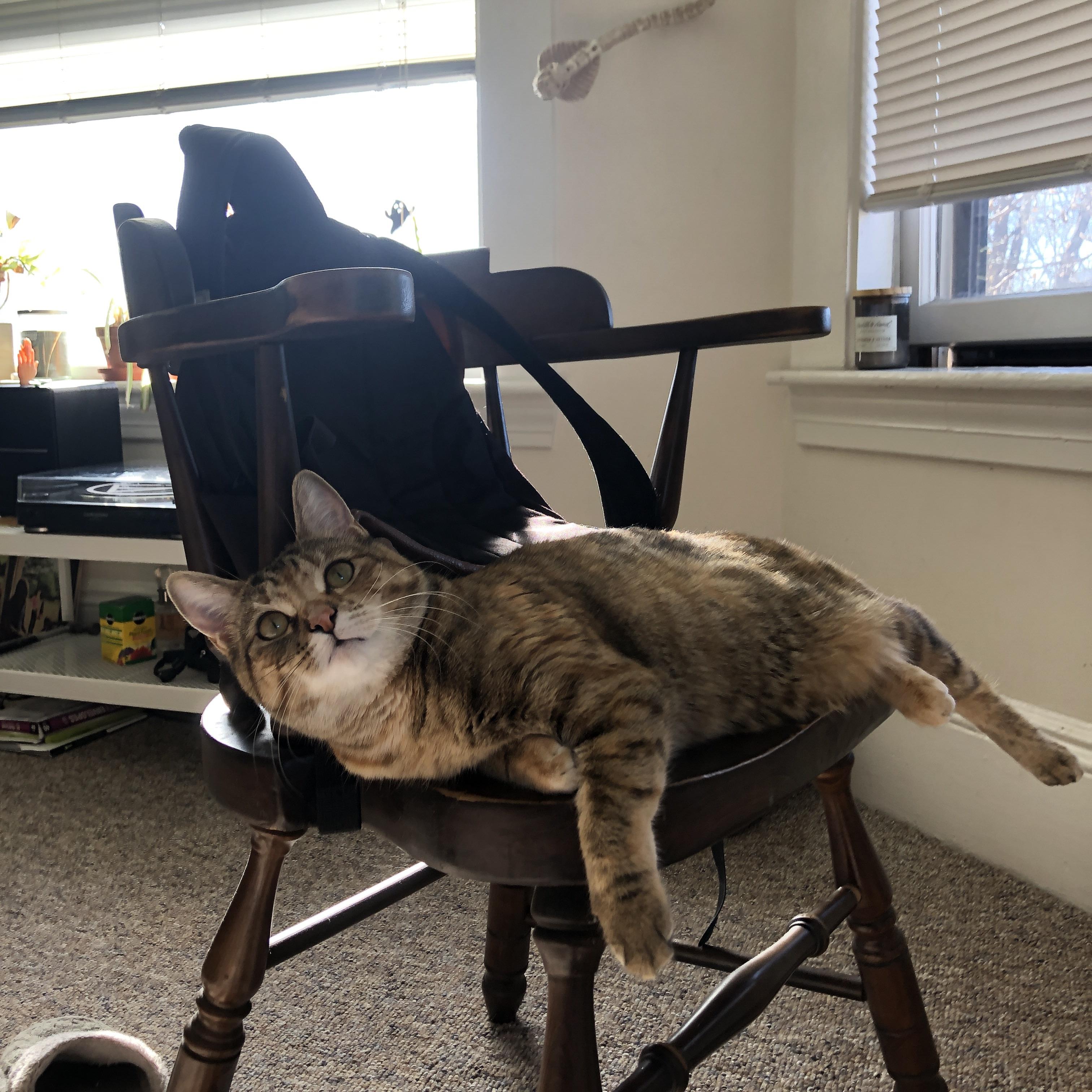 开云网页版登录入口-李恩：全黑队的“中场铁卫”，每一次防守都稳如磐石