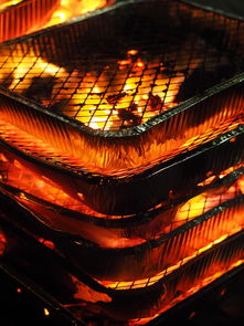 kaiyun体育综合-森林狼主场布景焕然一新增强品牌识别度，森林狼logo