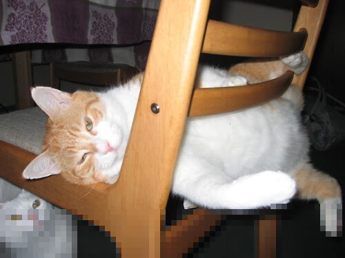 kaiyun官方入口登录-赛尔·阿尔斯塔：从攻守转换中展现南非队的独特魅力，阿尔纳塞尔