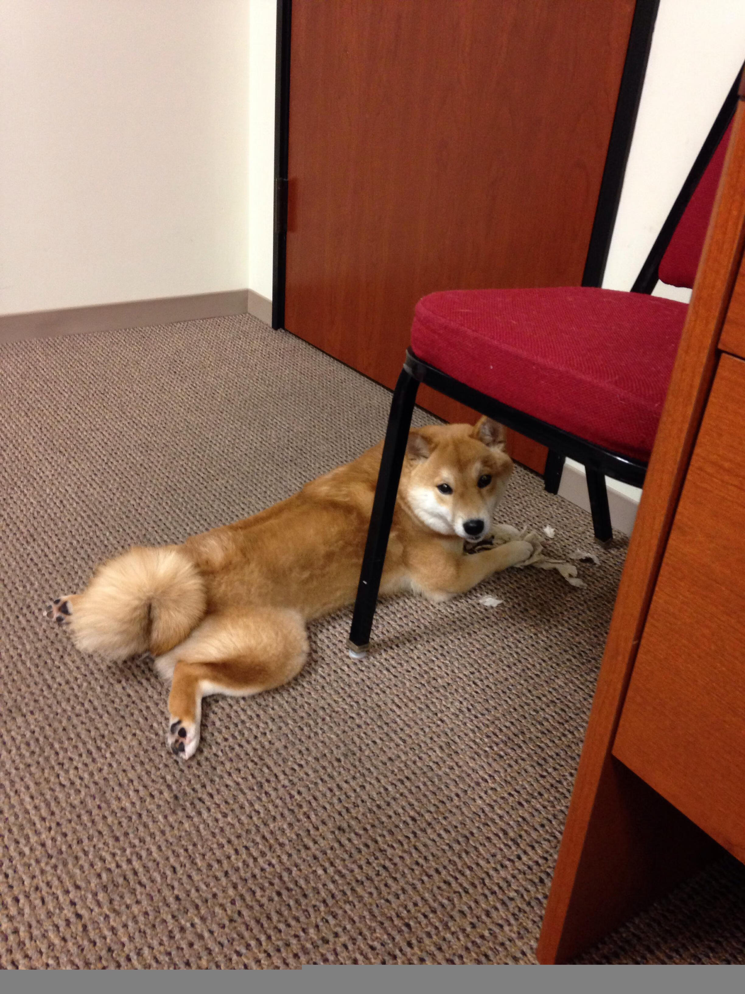 采纳绿色节能理念，建设低碳绿色足球场，绿色节能设施